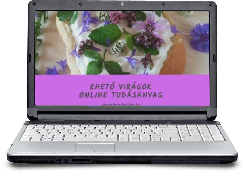 ehető virágok online tudásanyag